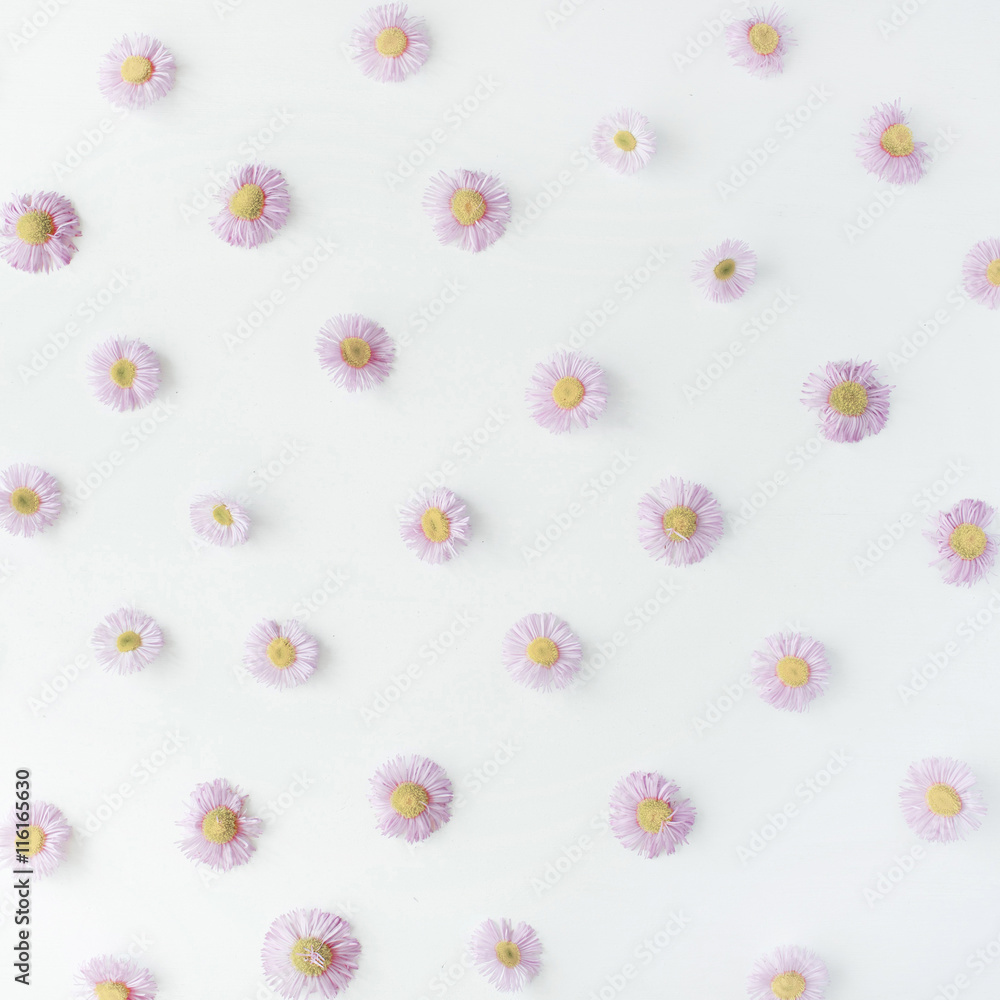 chamomile pattern on white background. flat lay, top view