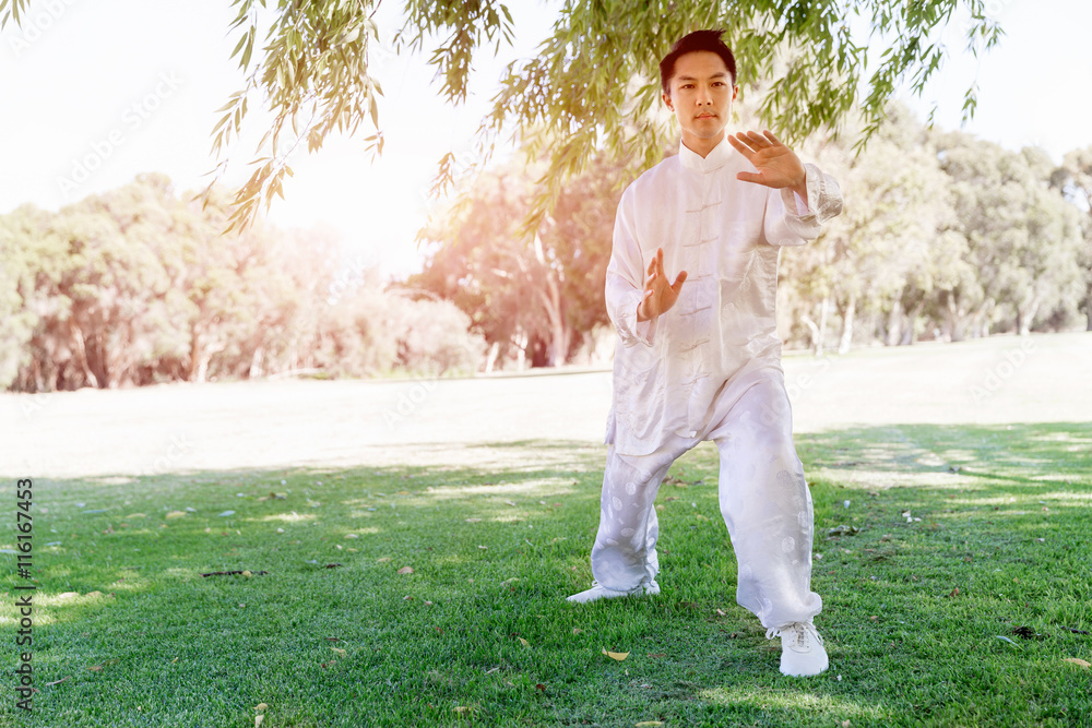 Handsome man practicing thai chi