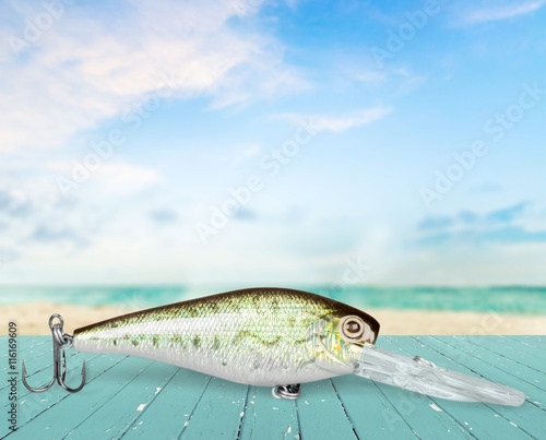 Fishing hook.