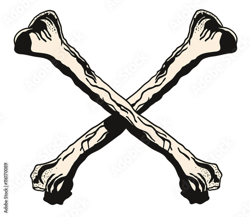 Crossbones vector illustration