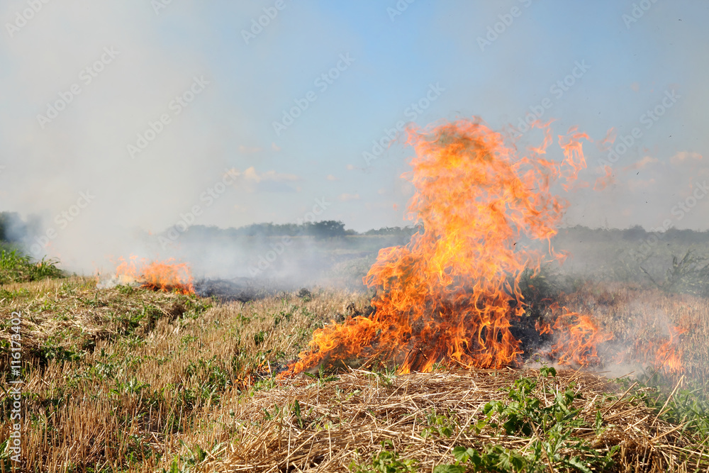 Fire in field