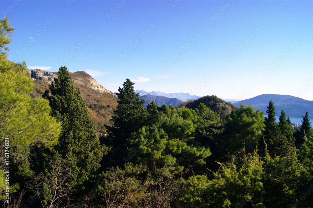 Fototapeta premium Mountain landscape with green forest