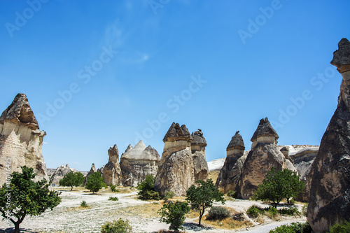 the mushroom shaped fairy chimneys,monks valley,(cappadocia,Turkey)