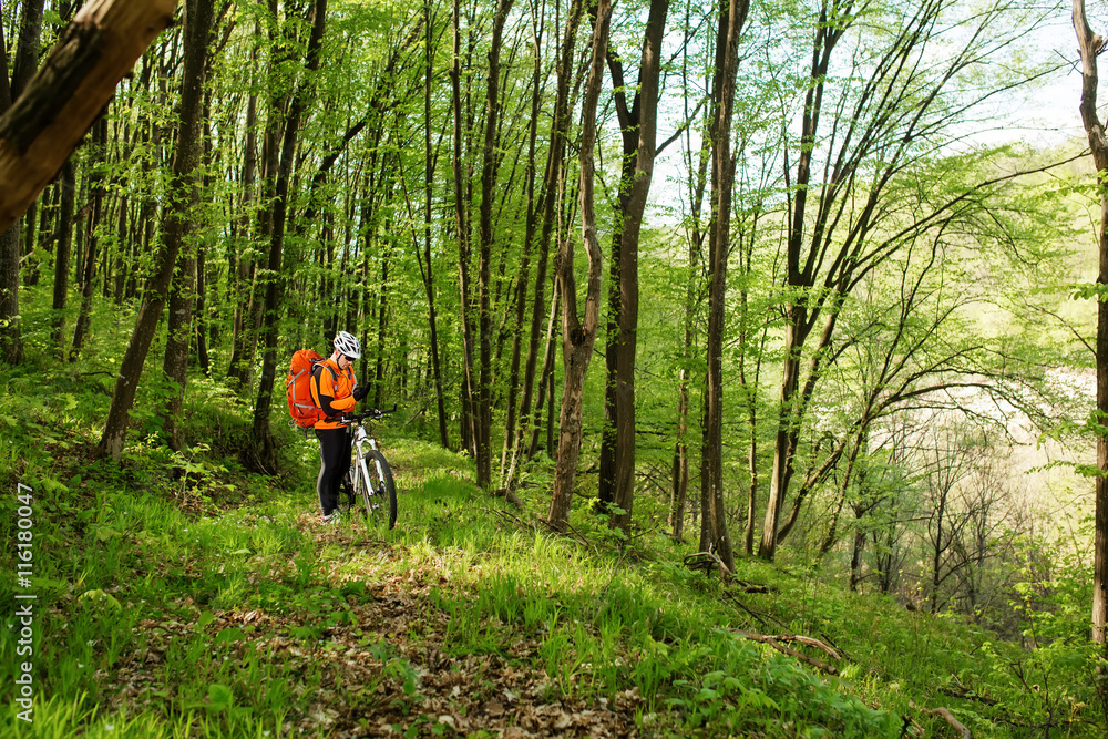 Obraz premium Cyclist Riding the Bike on a Trail in Summer Forest