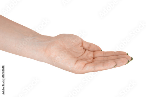 Palm up holding something, middle-aged woman's skin, yellow manicure. Isolated on white background