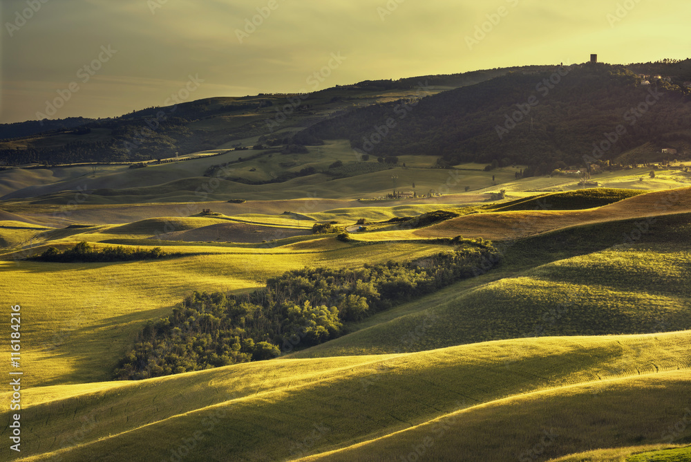 Tuscany spring, rolling hills on sunset. Rural landscape. Green