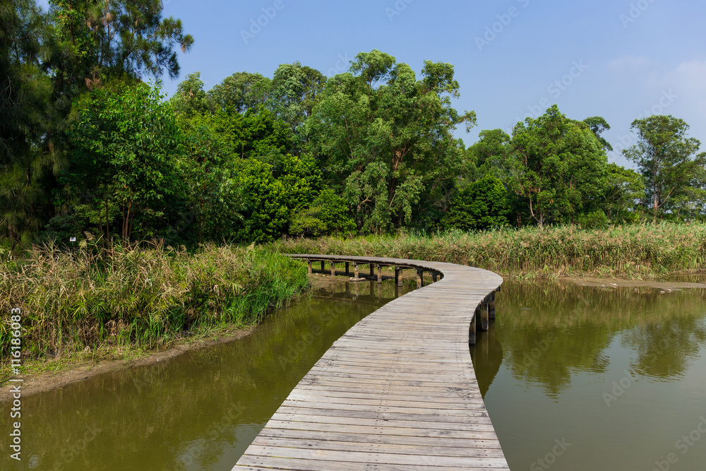 Fototapeta premium Boardwalk in forest