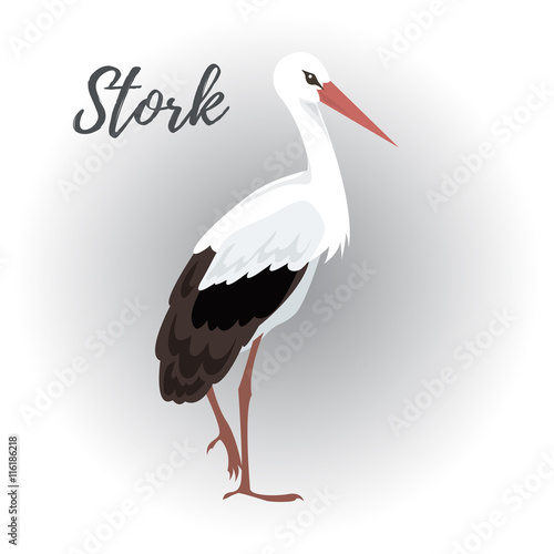 Isolated standing stork bird on a white background, vector illustration, hand drawn