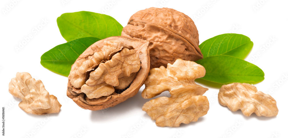 cracking walnuts on white cracking walnuts on white
