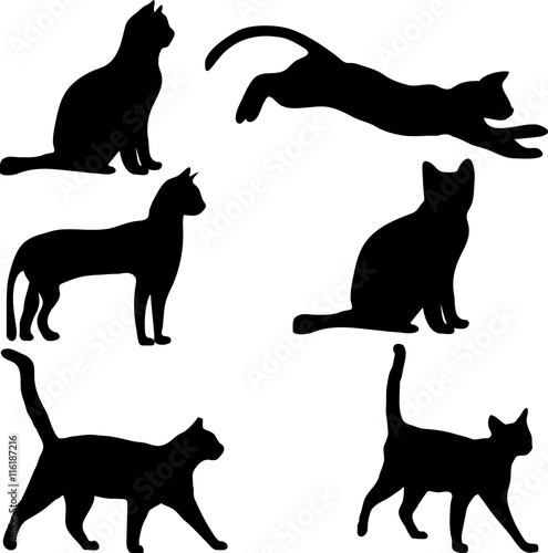 Cats collection - vector silhouette