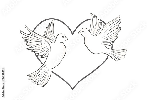 A pair of doves on heart background, vector illustration