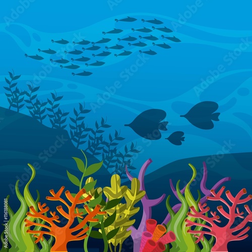 fish, coral and algae icon. Sea life design. Vector graphic