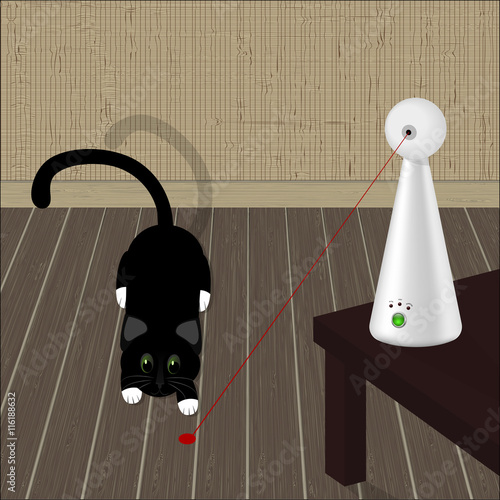 interactive laser toy for cats and black cat on the floor