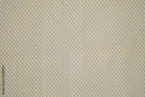 The fabric texture