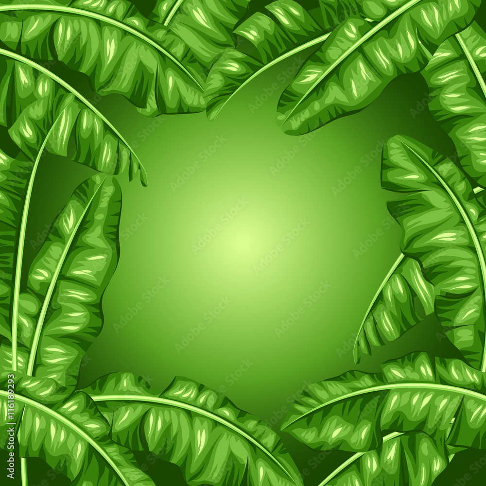 Naklejka premium Frame with banana leaves. Image of decorative tropical foliage