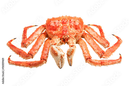 Red king crab isolated on white background