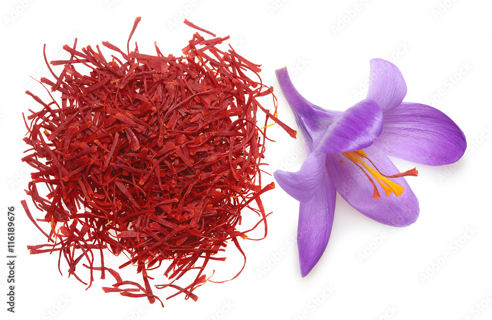Naklejka premium Flower crocus and dried saffron spice