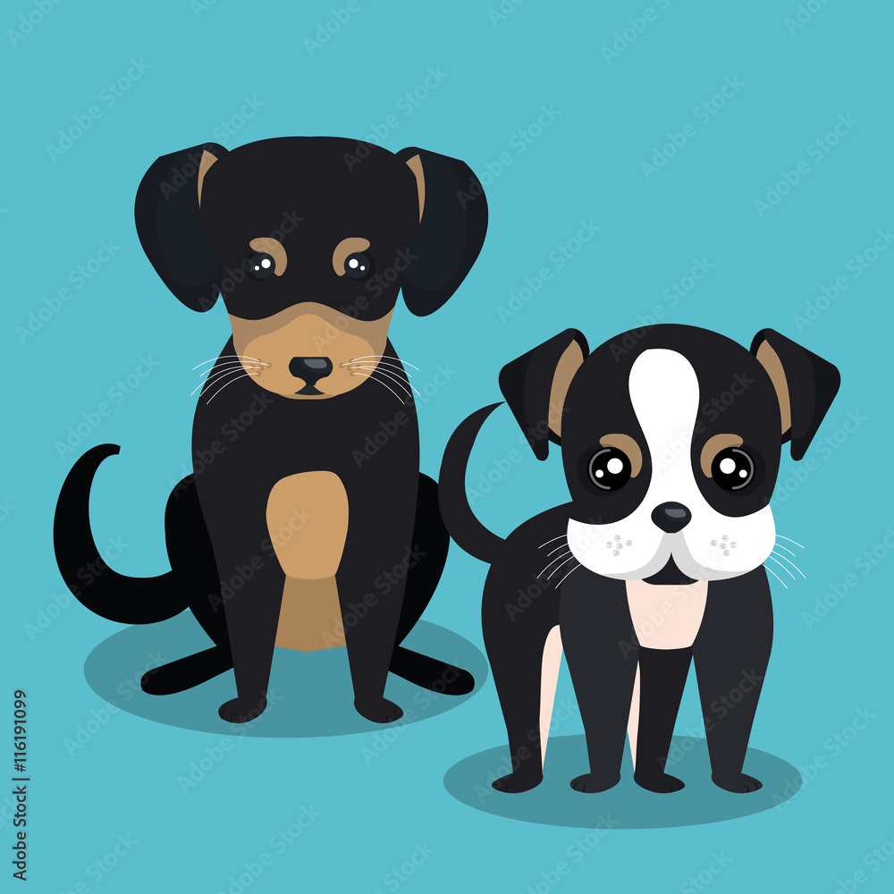 Fototapeta premium couple breed dogs isolated icon design, vector illustration graphic 