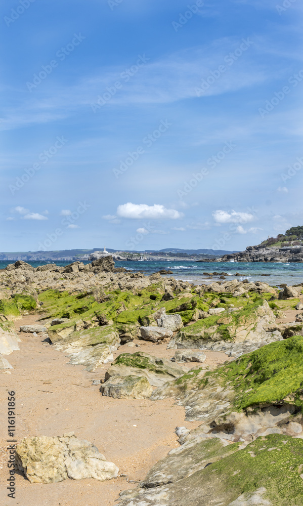 Playa de la magdalena