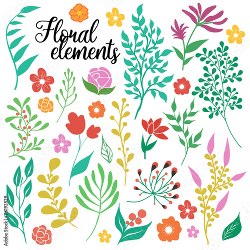 Hand Drawn Floral Elements Set