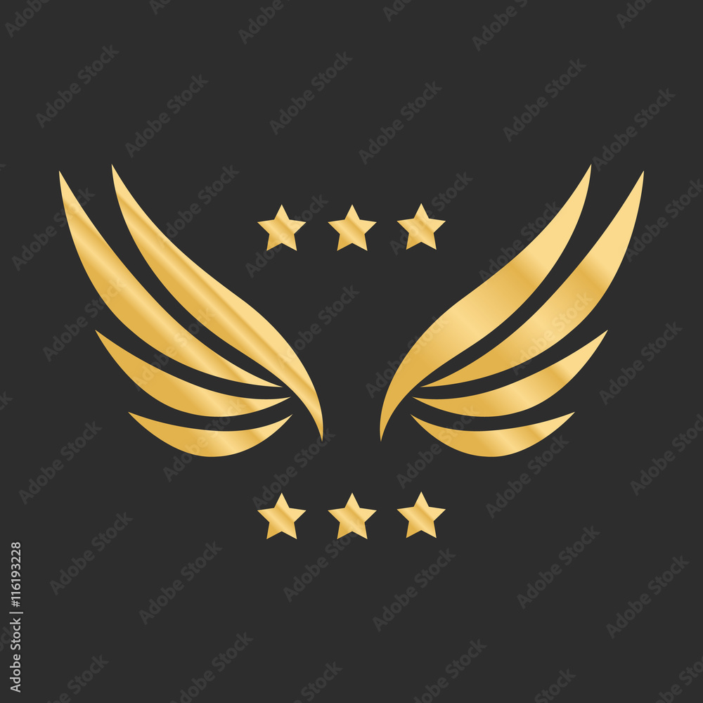 Vector graphic golden wings Vector graphic golden wings