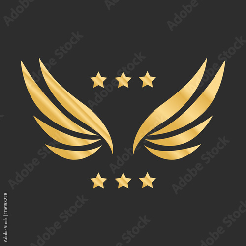 Vector graphic golden wings