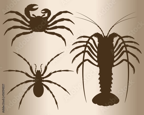 Vector silhouettes of arthropods. Spider, crab and lobster.