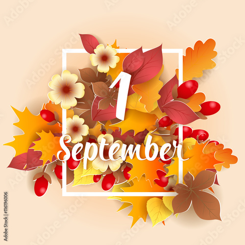 First September Autumn Background.
