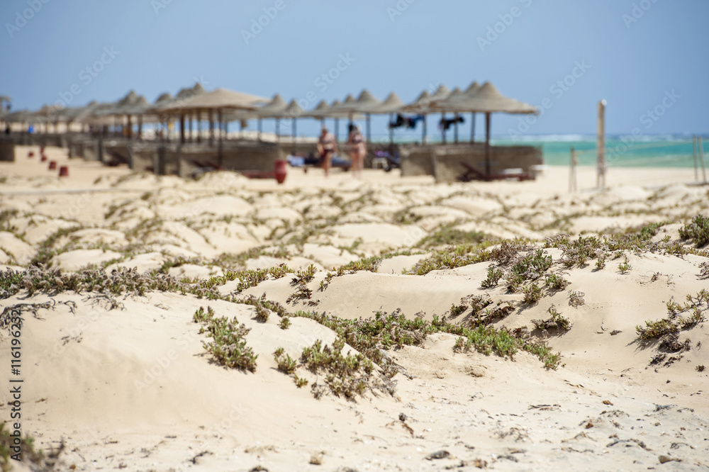 Tropical sandy beach at a hotel resort with sand dunes Tropical sandy beach at a hotel resort with sand dunes