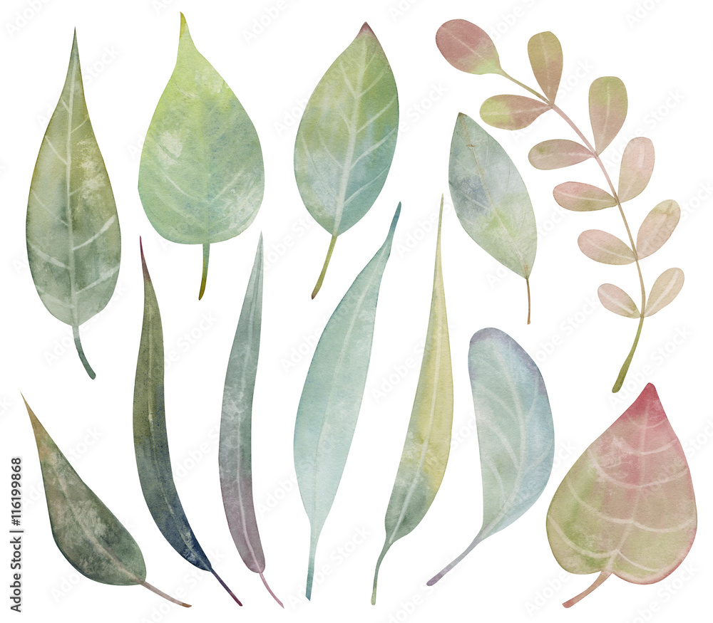 Obraz premium Set of watercolor fantasy leaves