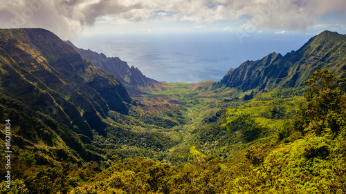 Panoramic landscape view of Kalalau valley and Na Pali cliffs