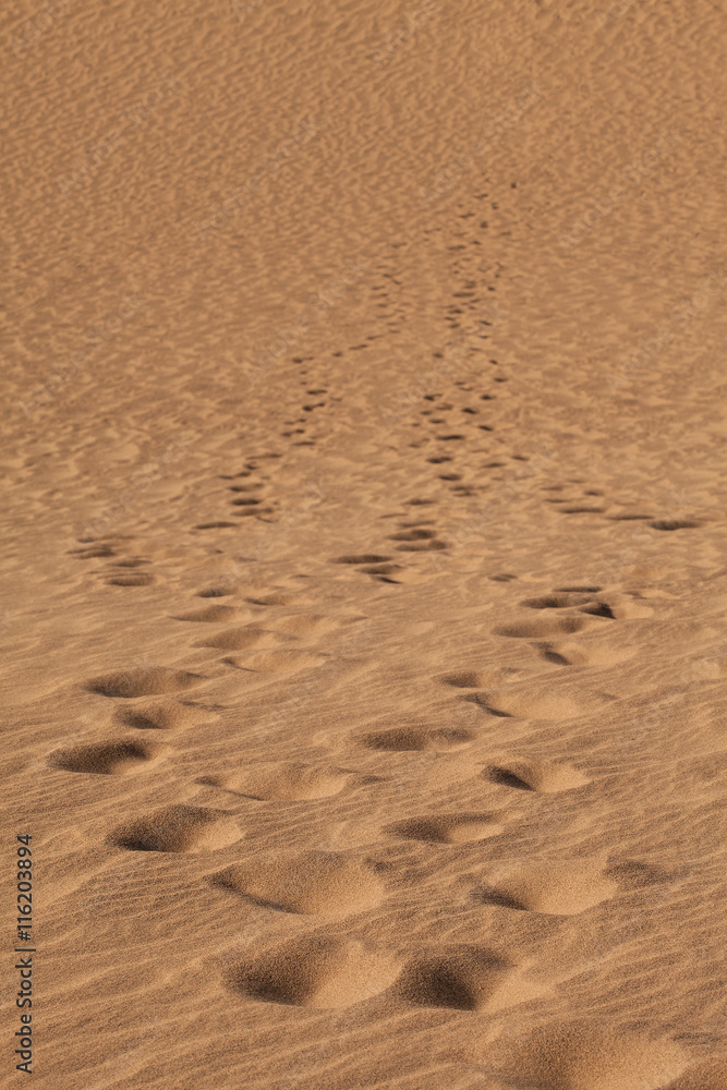 desert sand - death valley dunes - united states - america desert sand - death valley dunes - united states - america