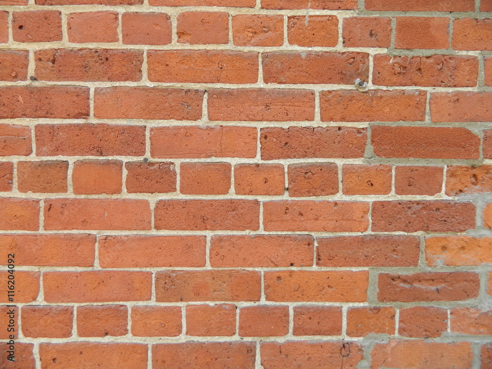 Obraz premium mur de briques