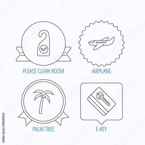 Palm tree, air-plane and e-key icons.