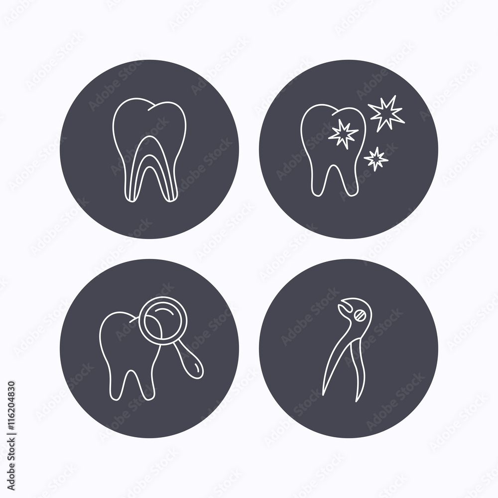 Healthy teeth, dentinal tubules and pliers icons. Healthy teeth, dentinal tubules and pliers icons.