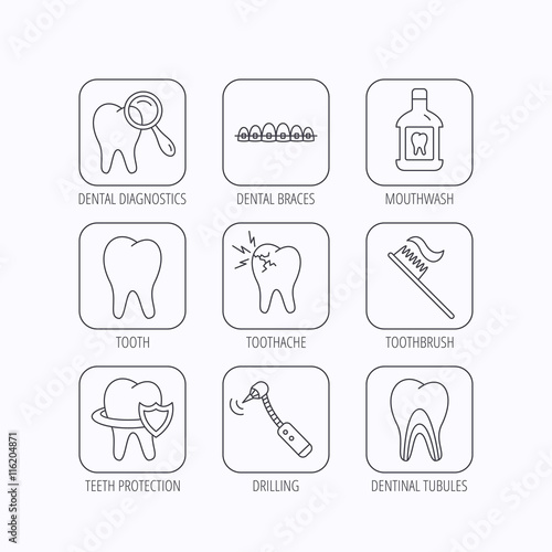 Tooth, dental braces and mouthwash icons.