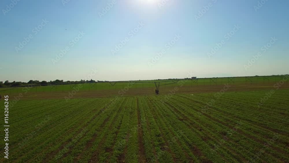 Beautiful 4K AERIAL - In plantation field - dusk with amazing view Beautiful 4K AERIAL - In plantation field - dusk with amazing view