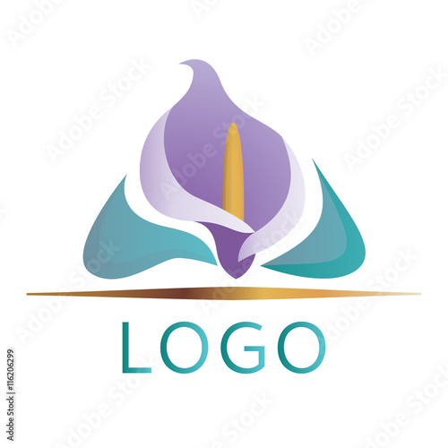 Fototapeta Naklejka Na Ścianę i Meble -  calla flowers and leaves elegant logo.