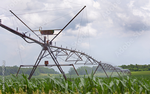 Agricultural irragation system watering a corn field