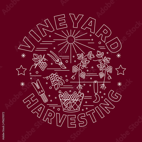 Winemaking, wine tasting graphic design concept