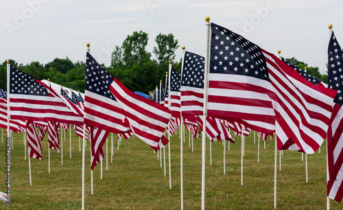 Memorial Day - Field of American Flags