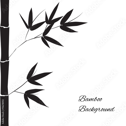 Vector bamboo background