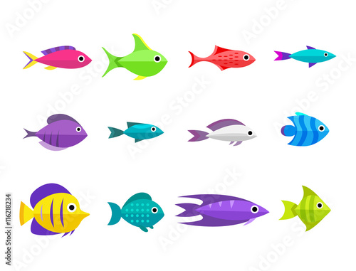 Cartoon fish collection background