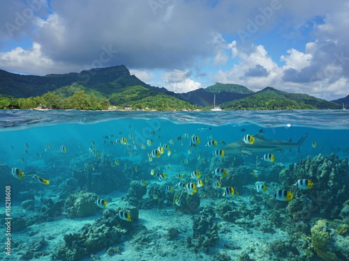 Above and below sea surface, the coast of Huahine island and coral reef fish school with a shark underwater, Pacific ocean, French Polynesia