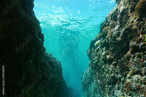 Underwater crevasse in the outer reef, Pacific ocean, French Polynesia