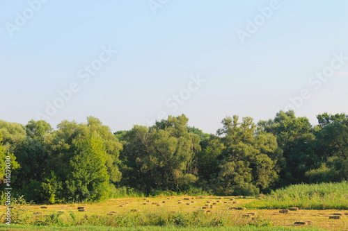 Agricultural landscape with hay bales in meadow 