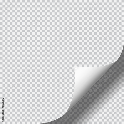 Page curl with shadow on blank sheet of paper