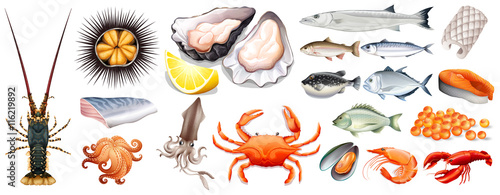 Photo Set of different kinds of seafood