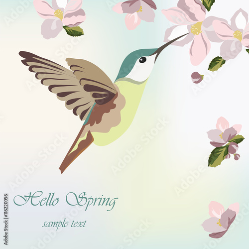 Spring Blossom Flowers and hummingbird Vector illustration