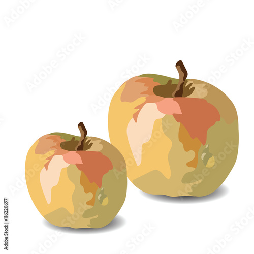 Watercolor Apple Vector isolated on white